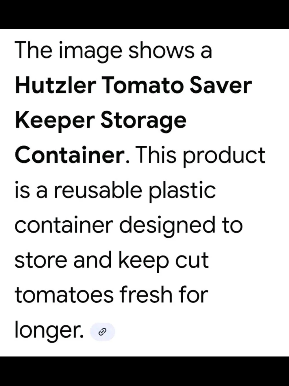 Hutzler Tomato Food Storage Container BPA Free